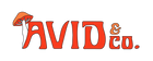 Avid & Co. logo