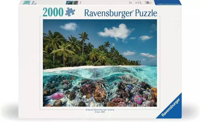 A Dive in the Maldives - 2000 Pc