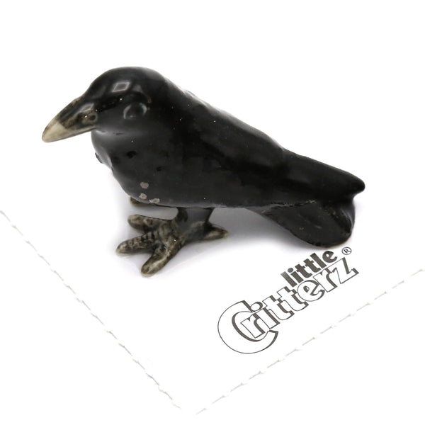 Trickster Raven