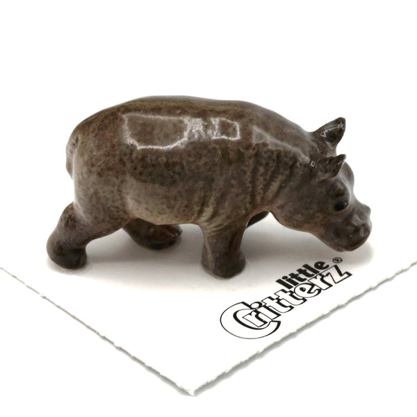 "River" Hippo