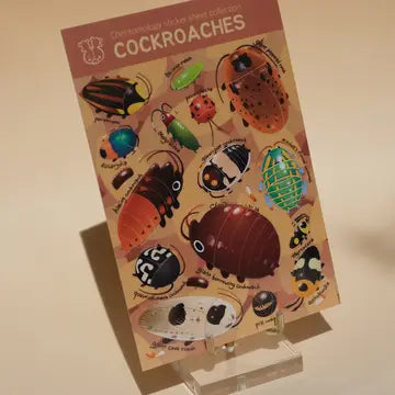 Transparent Sticker Sheet - Cockroaches