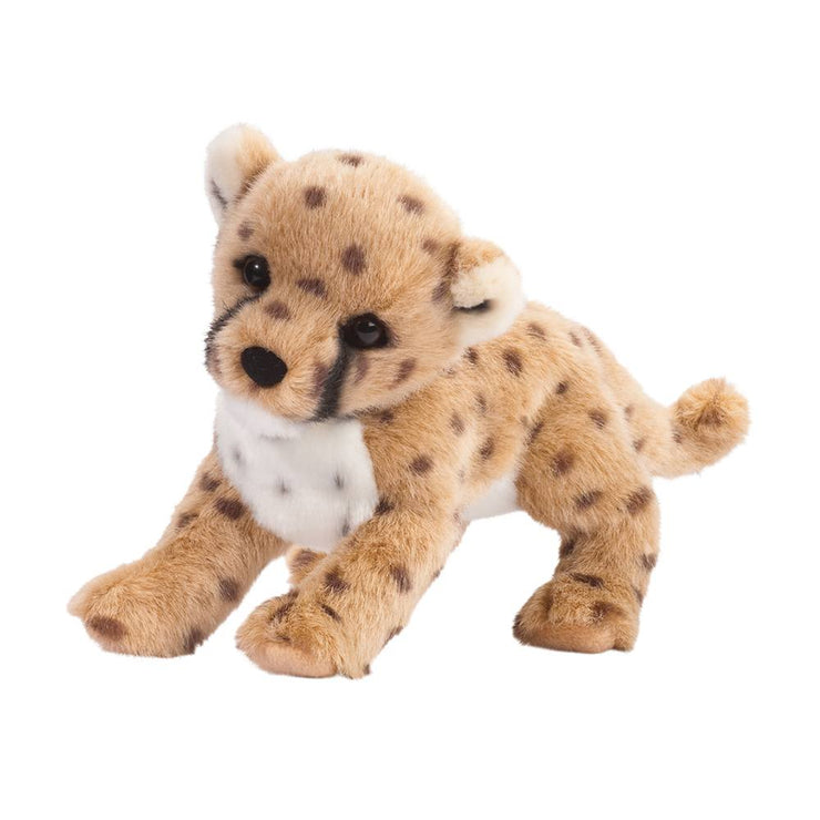 Chillin' the Cheetah Cub