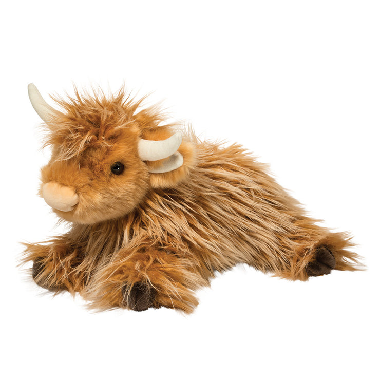 Wallace the Highland Cow